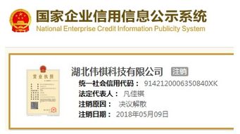 智萊科技前員工低價突擊入股疑云 供應(yīng)商關(guān)聯(lián)與技術(shù)轉(zhuǎn)讓風險